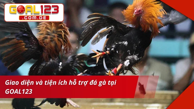 Giao diện sảnh vào kèo Đá Gà Cựa Dao xịn sò