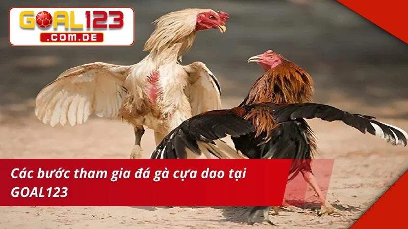 Tân thủ vào kèo Đá Gà Cựa Dao siêu đơn giản