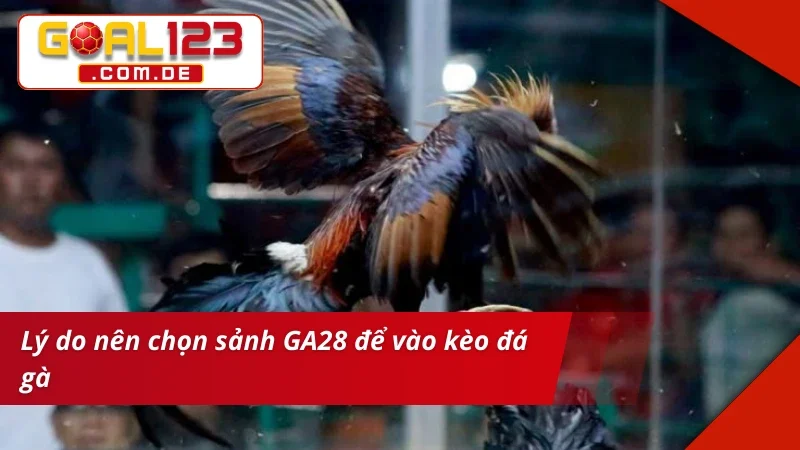 Cá cược chất lượng tại sảnh GA28 Đá Gà
